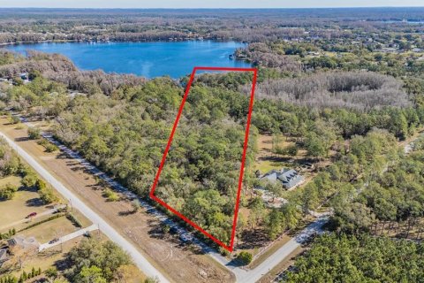 Land in Land O' Lakes, Florida № 2150935 - photo 2