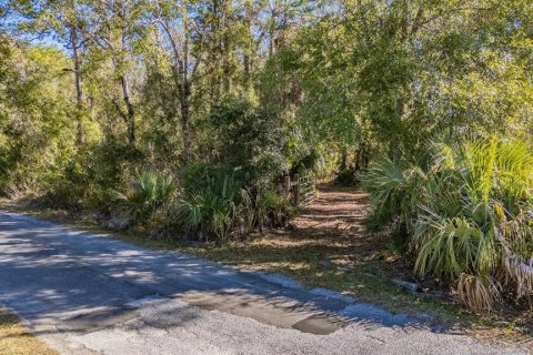 Land in Land O' Lakes, Florida № 2150935 - photo 17