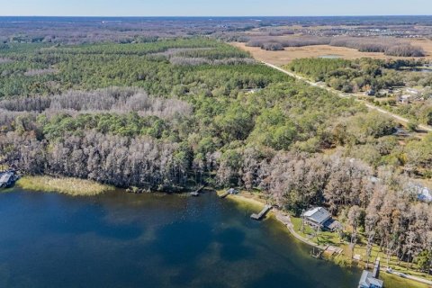 Land in Land O' Lakes, Florida № 2150935 - photo 16