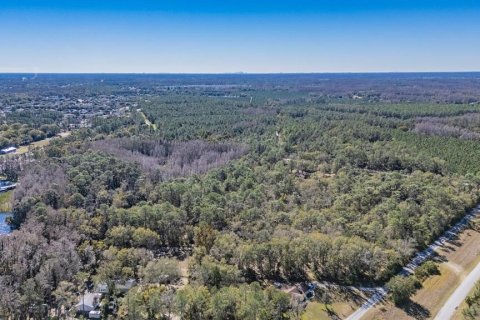 Land in Land O' Lakes, Florida № 2150935 - photo 5