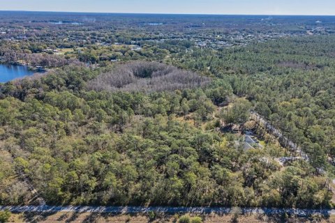 Land in Land O' Lakes, Florida № 2150935 - photo 8