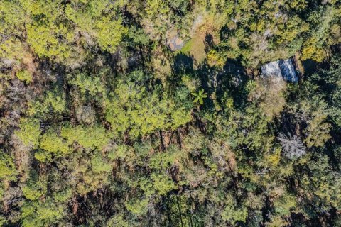 Land in Land O' Lakes, Florida № 2150935 - photo 12
