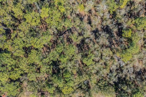 Land in Land O' Lakes, Florida № 2150935 - photo 11