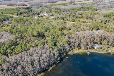 Land in Land O' Lakes, Florida № 2150935 - photo 14