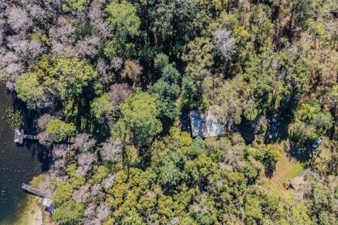 Land in Land O' Lakes, Florida № 2150935 - photo 7