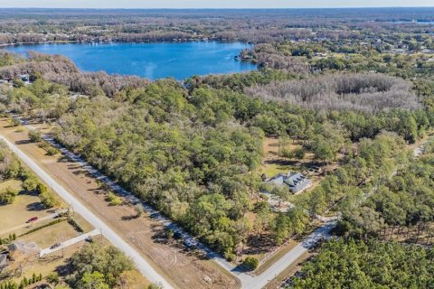 Land in Land O' Lakes, Florida № 2150935 - photo 6
