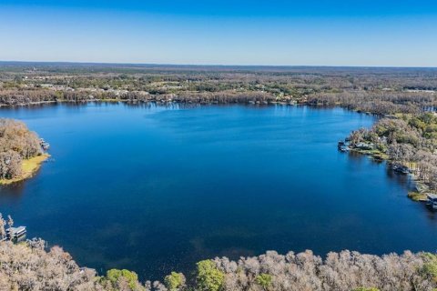 Land in Land O' Lakes, Florida № 2150935 - photo 4