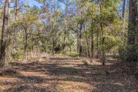 Land in Land O' Lakes, Florida № 2150935 - photo 19