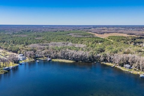 Land in Land O' Lakes, Florida № 2150935 - photo 3