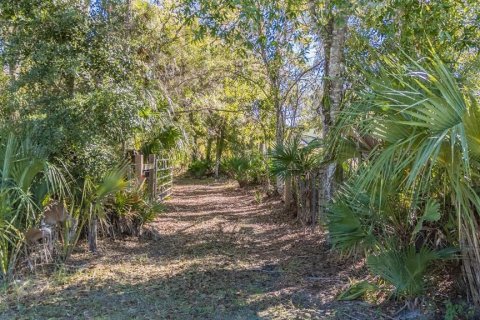 Land in Land O' Lakes, Florida № 2150935 - photo 18