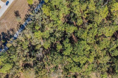 Land in Land O' Lakes, Florida № 2150935 - photo 10
