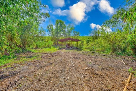 Land in Palmetto, Florida № 1558822 - photo 5