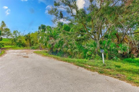 Land in Palmetto, Florida № 1558822 - photo 2
