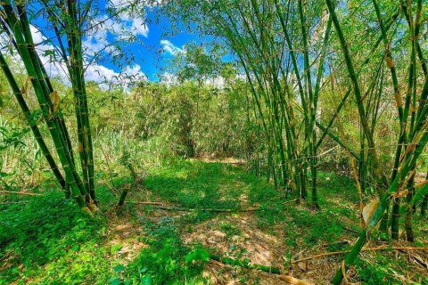 Land in Palmetto, Florida № 1558822 - photo 4