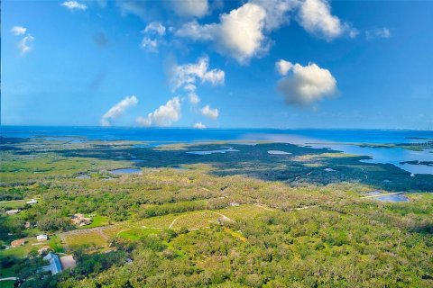 Land in Palmetto, Florida № 1558822 - photo 10