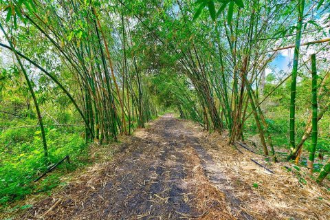 Land in Palmetto, Florida № 1558822 - photo 3