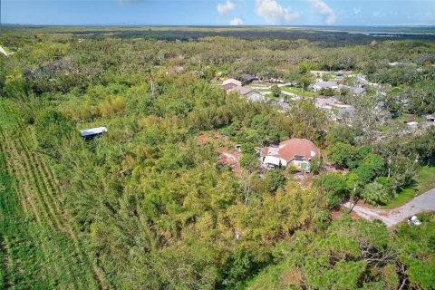 Land in Palmetto, Florida № 1558822 - photo 7