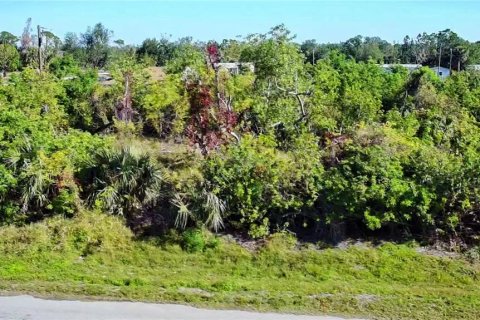 Land in Punta Gorda, Florida № 2161975 - photo 7