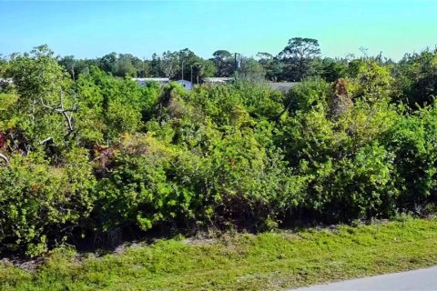 Land in Punta Gorda, Florida № 2161975 - photo 8