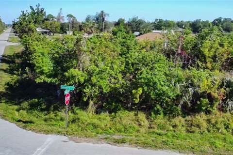 Land in Punta Gorda, Florida № 2161975 - photo 6