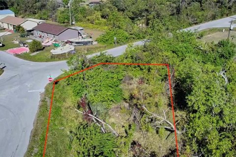Land in Punta Gorda, Florida № 2161975 - photo 3