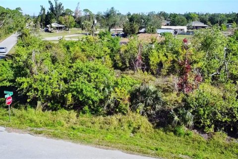 Land in Punta Gorda, Florida № 2161975 - photo 17