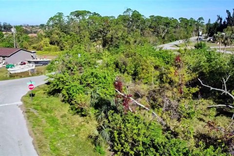 Land in Punta Gorda, Florida № 2161975 - photo 10