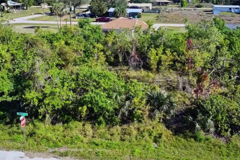 Land in Punta Gorda, Florida № 2161975 - photo 4