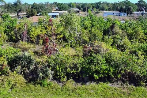 Land in Punta Gorda, Florida № 2161975 - photo 9