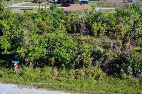 Land in Punta Gorda, Florida № 2161975 - photo 5