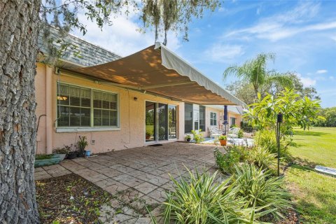 Condo in New Port Richey, Florida, 2 bedrooms  № 1895080 - photo 21