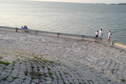 Купить таунхаус в Данедин, Флорида 6 комнат, 134.24м2, № 1609238 - фото 29