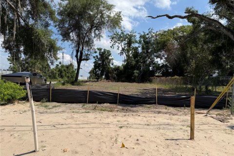 Land in Apopka, Florida № 2219175