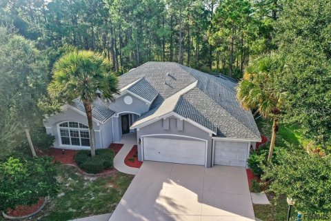 House in Palm Coast, Florida 4 bedrooms, 229.1 sq.m. № 2205560 - photo 3