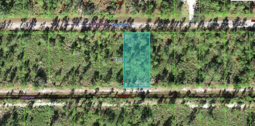 Land in Indian lake estates, Florida № 1755277