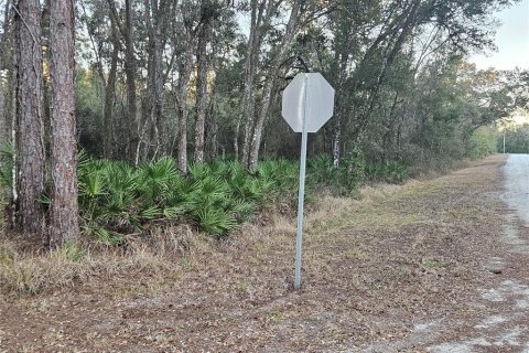 Land in Webster, Florida № 2160982 - photo 4