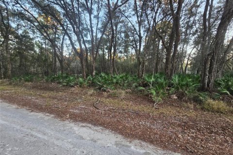 Land in Webster, Florida № 2160982 - photo 2