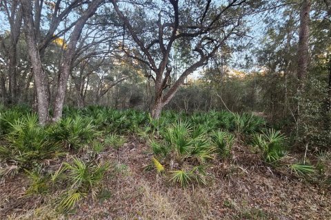 Land in Webster, Florida № 2160982