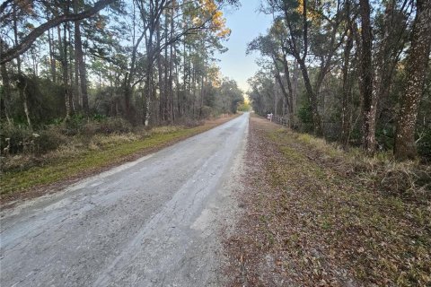 Land in Webster, Florida № 2160982 - photo 10