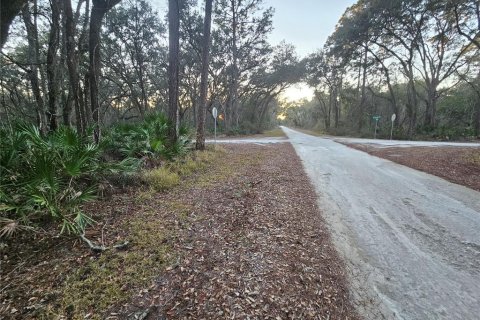 Land in Webster, Florida № 2160982 - photo 11