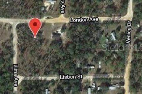 Land in Interlachen, Florida № 2160242 - photo 2