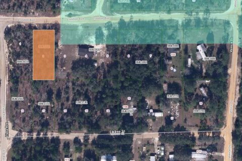 Land in Interlachen, Florida № 2160242 - photo 3