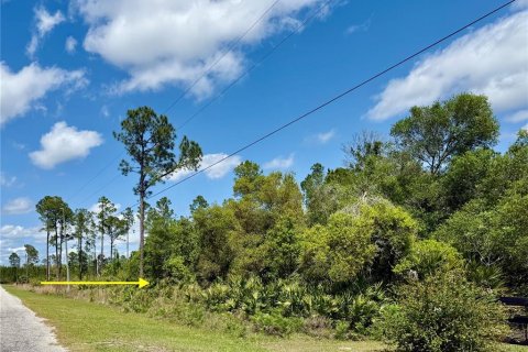 Land in Eustis, Florida № 1720910 - photo 10