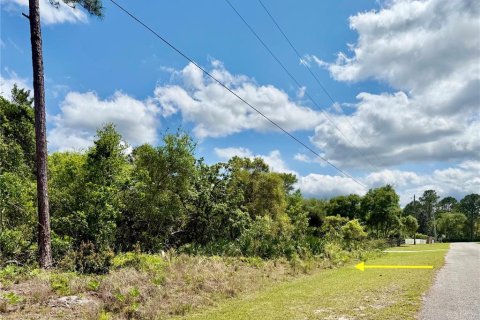 Land in Eustis, Florida № 1720910 - photo 3