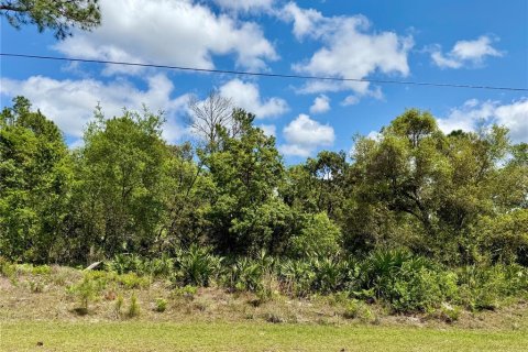 Land in Eustis, Florida № 1720910 - photo 2
