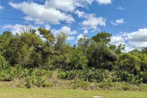 Land in Eustis, Florida № 1720910 - photo 1