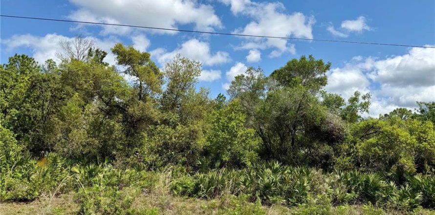 Land in Eustis, Florida № 1720910