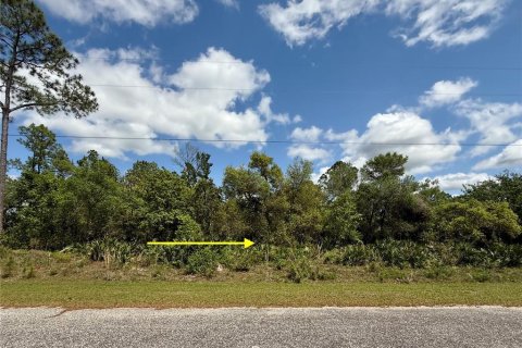 Land in Eustis, Florida № 1720910 - photo 5