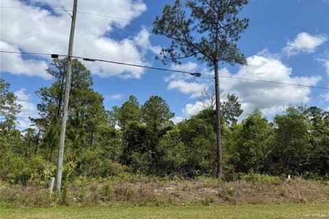 Land in Eustis, Florida № 1720910 - photo 7