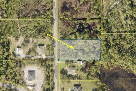 Land in Eustis, Florida № 1720910 - photo 8